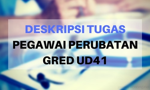 Deskripsi Tugas Pegawai Perubatan Gred UD41